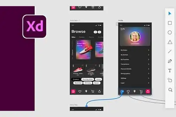 Adobe Xd (Hindi)